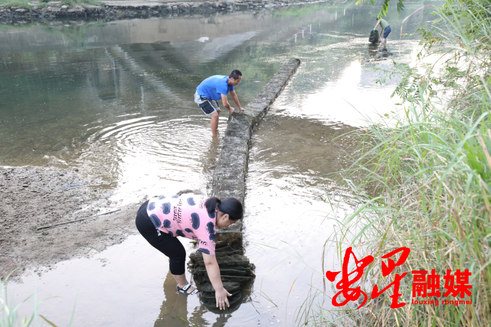 大科街道：有效推进“洞庭清波”专项整治1.png