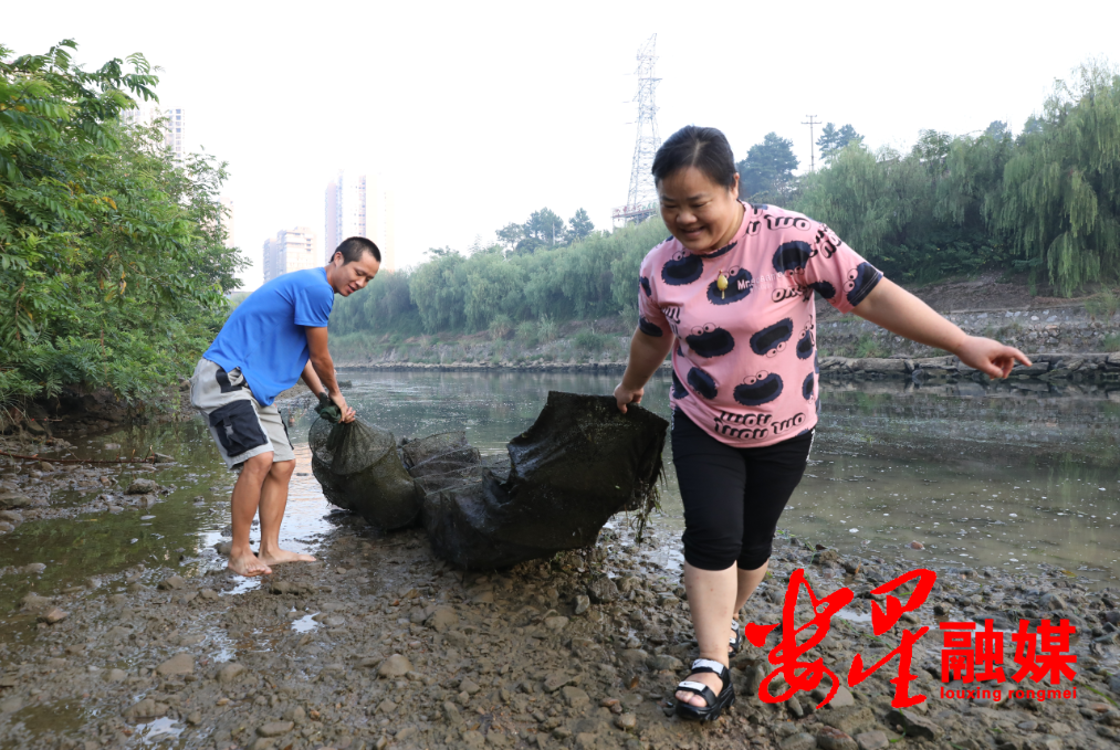 大科街道：有效推进“洞庭清波”专项整治2.png