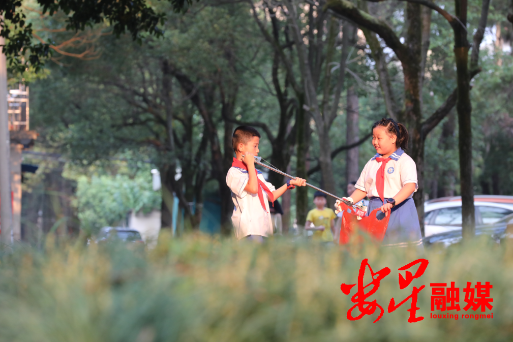 小学生志愿者2.png