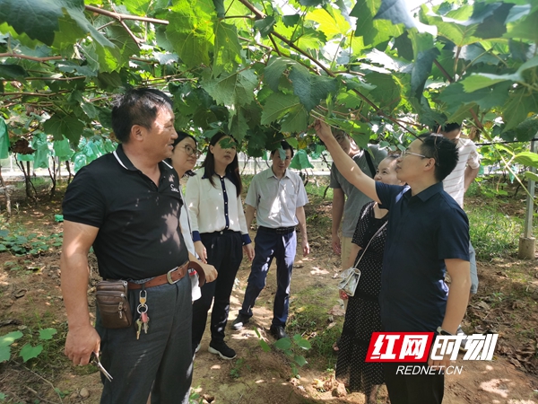 农业特派员的“陇上行”：把科技动能推向田间地头