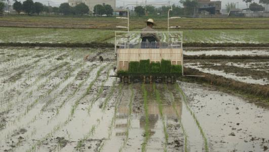 湖南农业机械化加快升级 重点突破早稻生产机械化