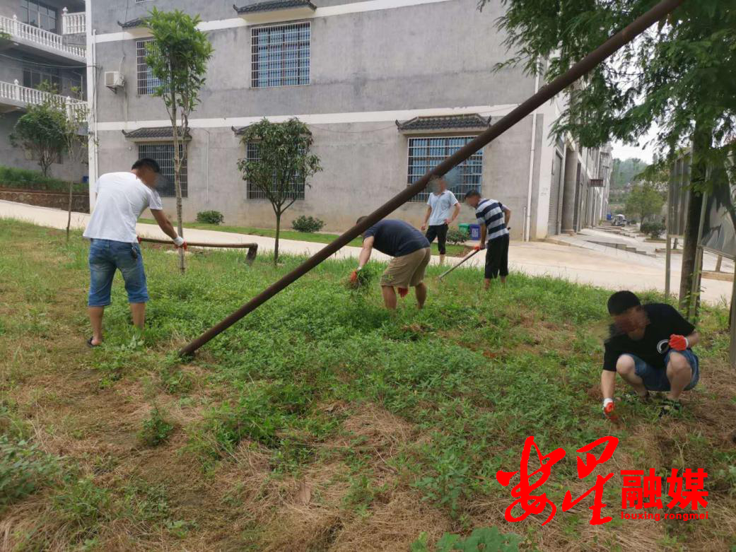 社区矫正.png