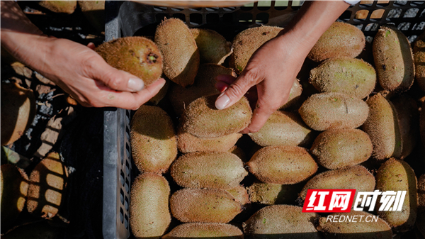 _DSC5531_副本.jpg _DSC5531_副本.jpg