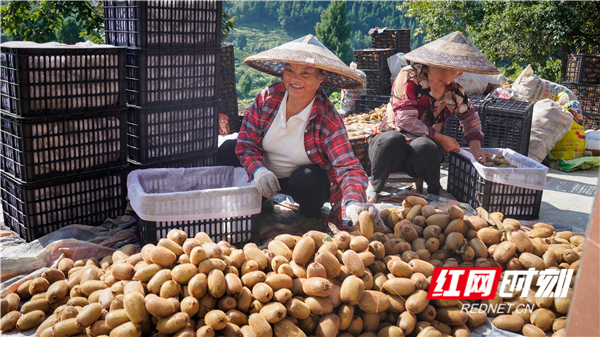 _DSC5434_副本.jpg _DSC5434_副本.jpg