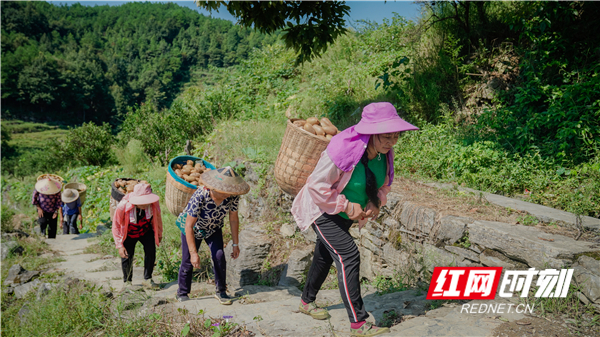 _DSC5757_副本.jpg _DSC5757_副本.jpg