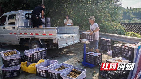 _DSC5378_副本.jpg _DSC5378_副本.jpg