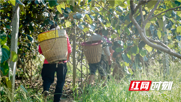 _DSC5667_副本.jpg _DSC5667_副本.jpg