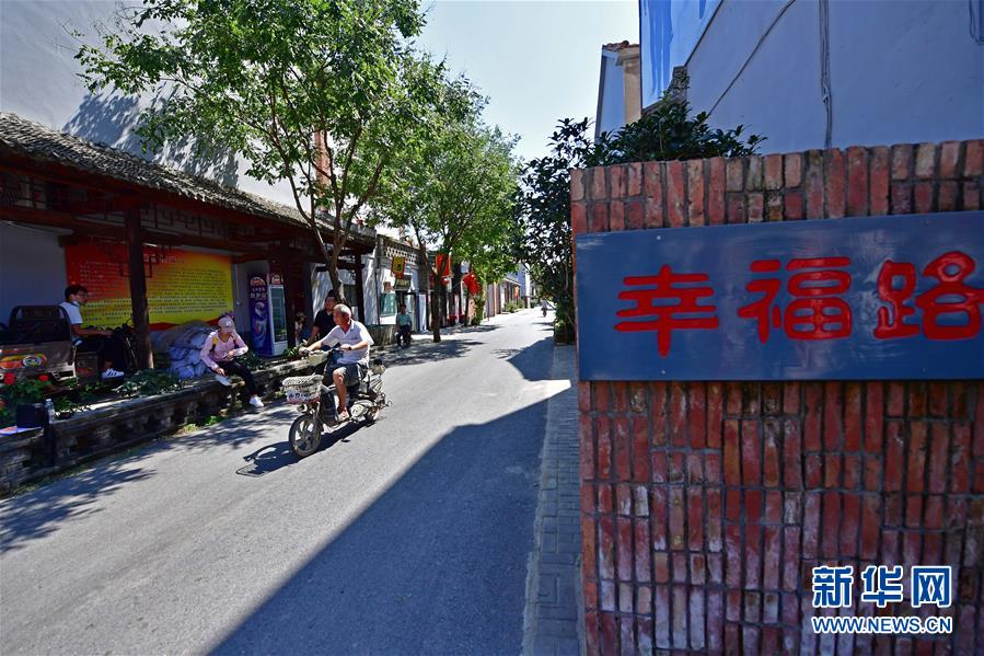 (社会)(3)河南兰考:“梦里张庄”产业兴