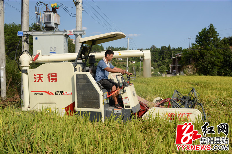 DSC_6428_副本.jpg