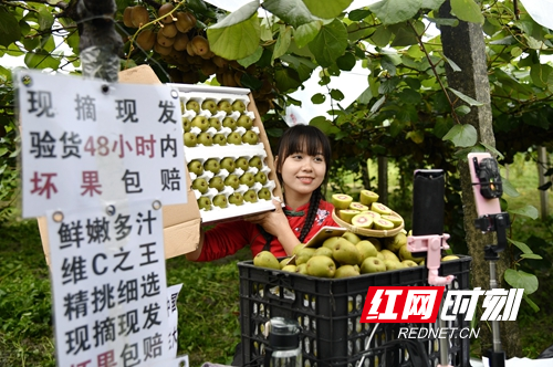 _0004204_wps图片 - 副本.JPG