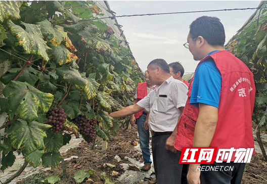 QQ图片20200908172218.png