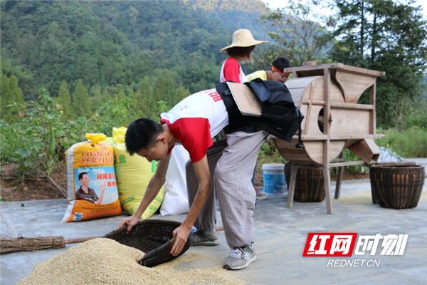 图为志愿者在走访过程中，帮助村民做农活.png