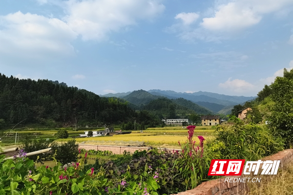 大布江乡江头村一景.jpg