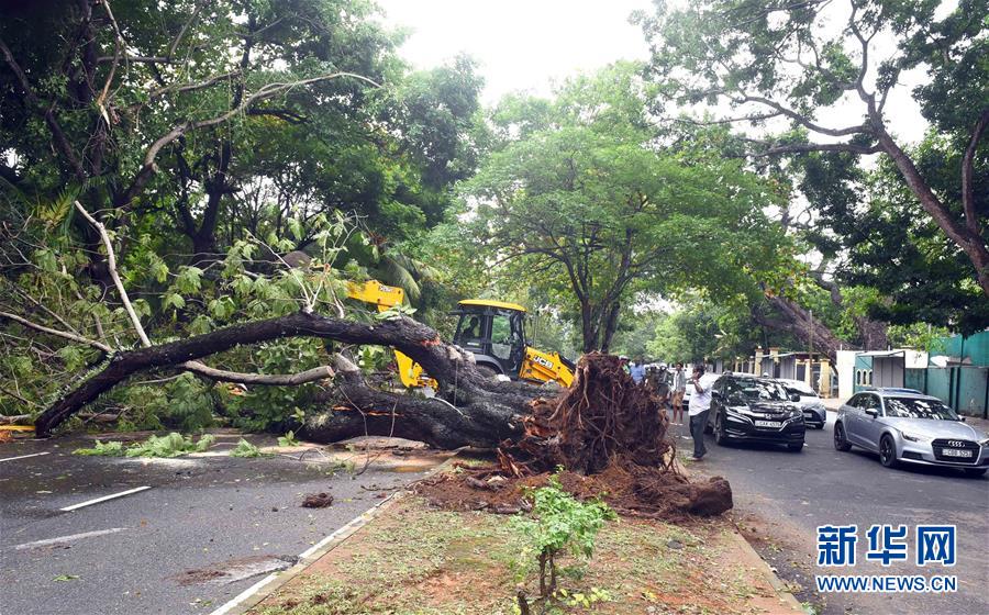 （国际）（4）斯里兰卡遭遇暴雨天气