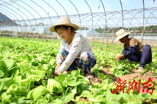 走向胜利 决战决胜乡村述说丨 新屋 里的新日子 湖南频道