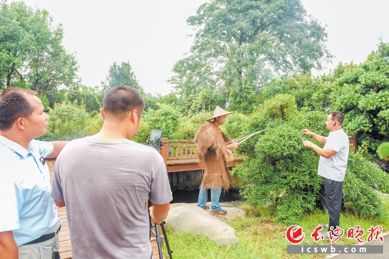 　　渡头村公益短视频团队在当地花木基地取景拍摄。长沙晚报全媒体记者 陈飞 摄