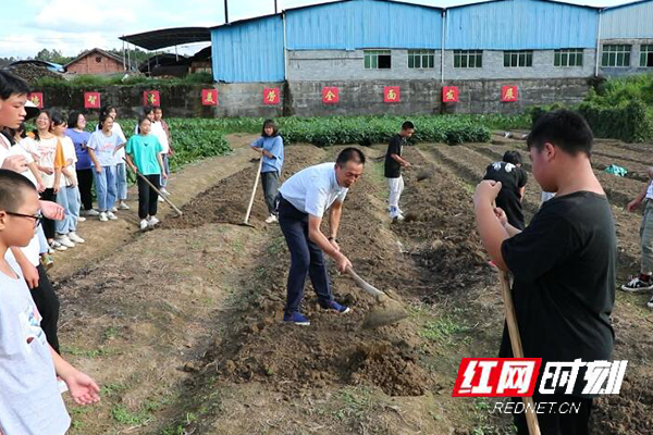 江华码市镇中学：田间地头“干农活” 感受粮食来之不易