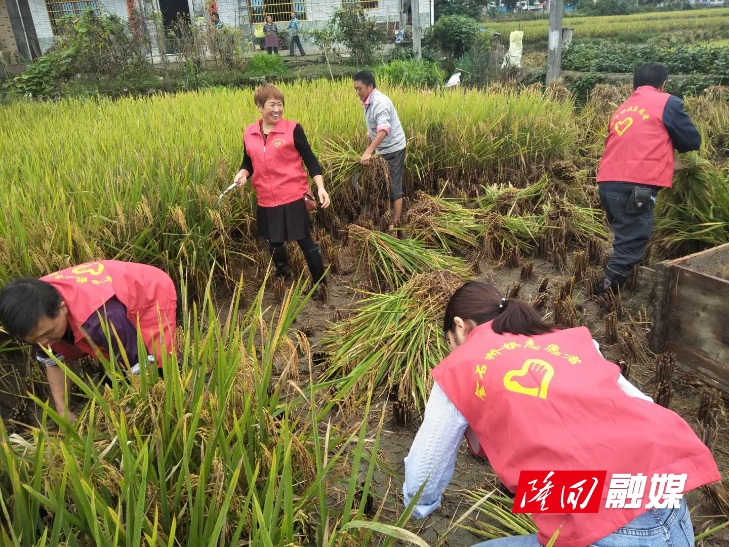 微信图片_20200916162420.jpg 微信图片_20200916162420.jpg