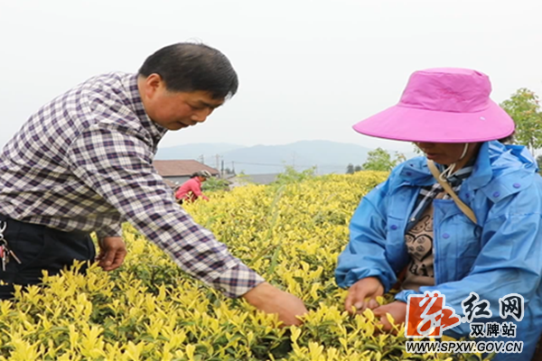 微信图片_20200915161405_副本.png