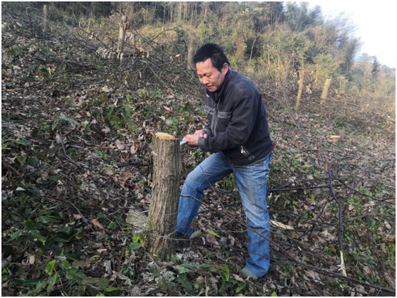 1600240343.jpg 1600240343.jpg