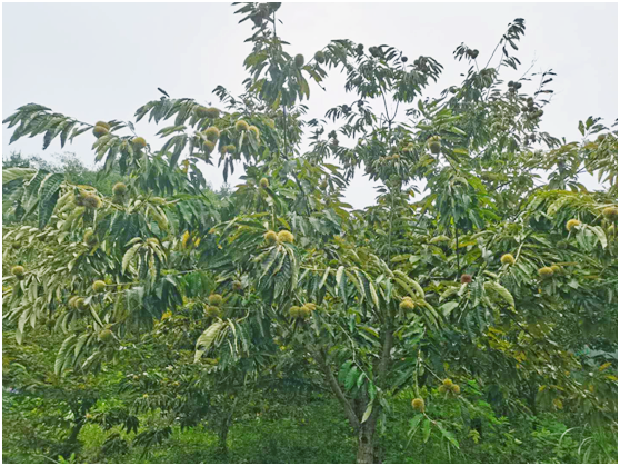 7c046474ca617e4535402f7e0469ae9.png 7c046474ca617e4535402f7e0469ae9.png