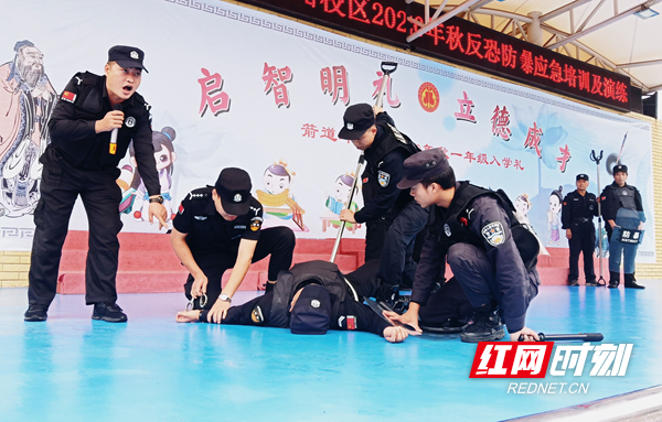 图片27_副本.png