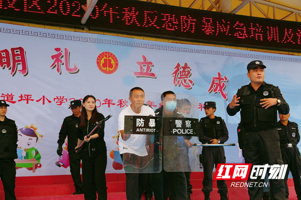 图片28_副本.png