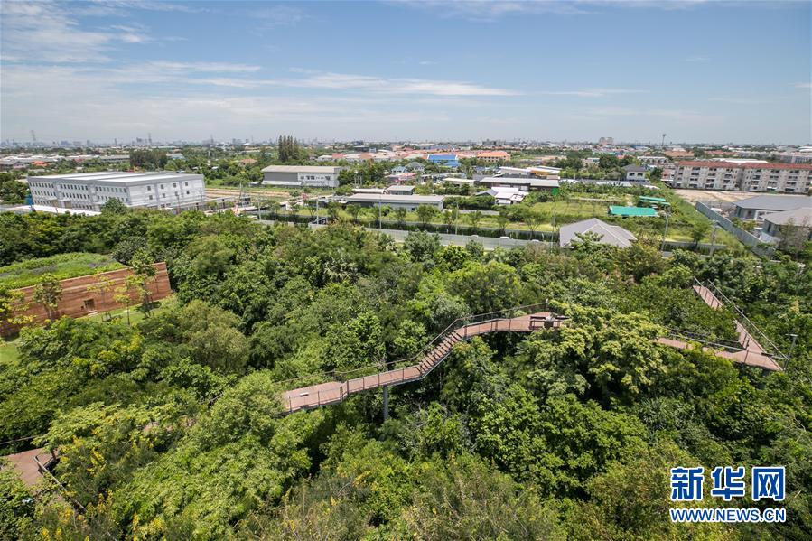 （城市之美）（12）曼谷的都市“绿肺”