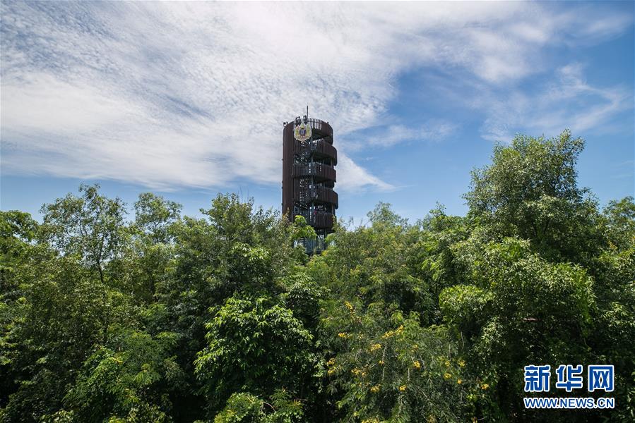 （城市之美）（11）曼谷的都市“绿肺”