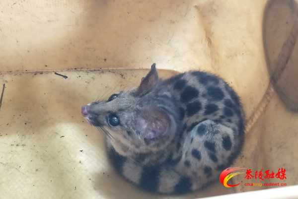 eb85d85fe642caf7d5f53df70fd93a9.jpg eb85d85fe642caf7d5f53df70fd93a9.jpg