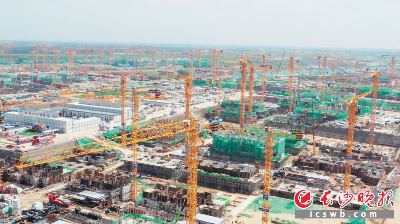 　　雄安新区容东片区建设工地上塔机成林，其中80%以上为长沙制造。　　长沙晚报通讯员 张恬 供图