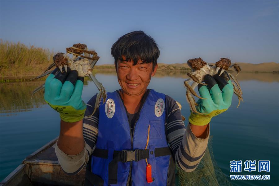 （图片故事）（1）买买江·艾尼：我在“死亡之海”抓螃蟹