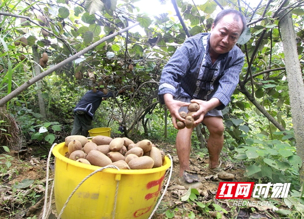 图片8.jpg