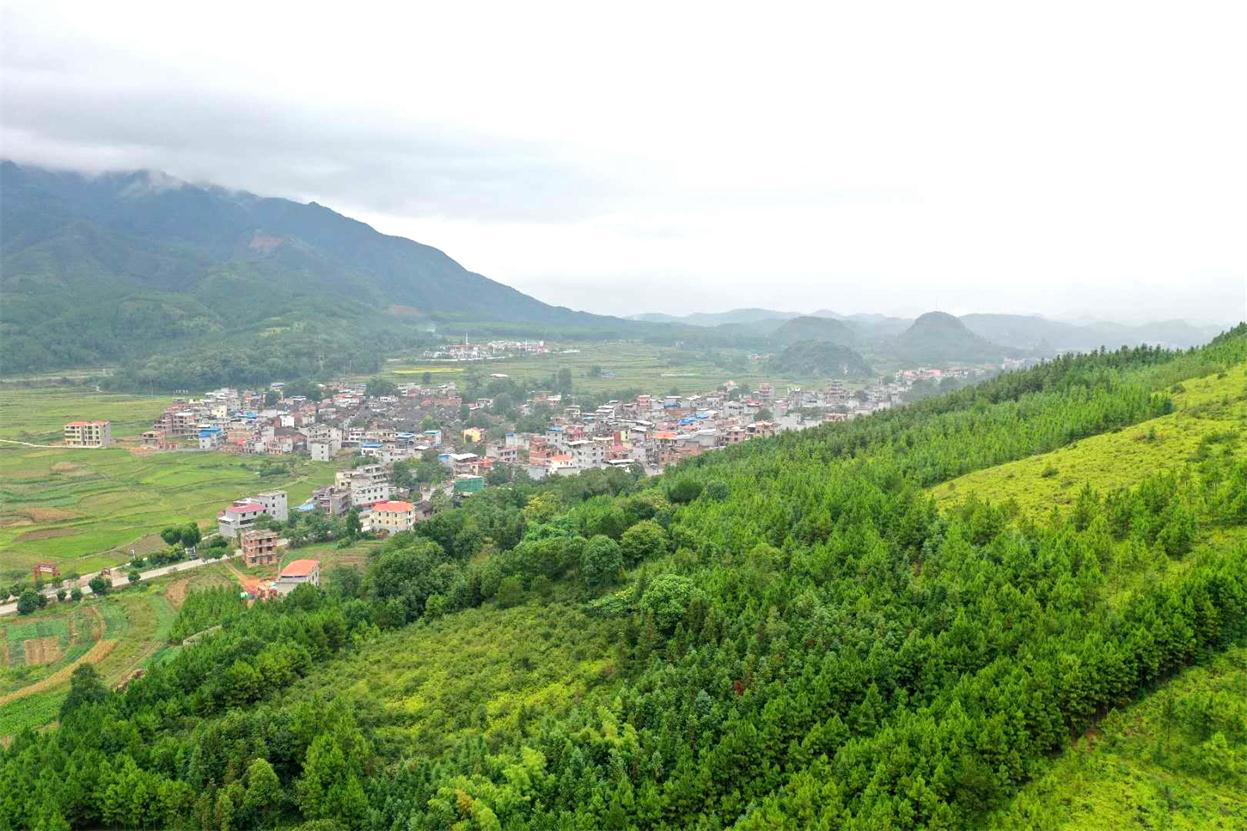 图片3.png 图片3.png