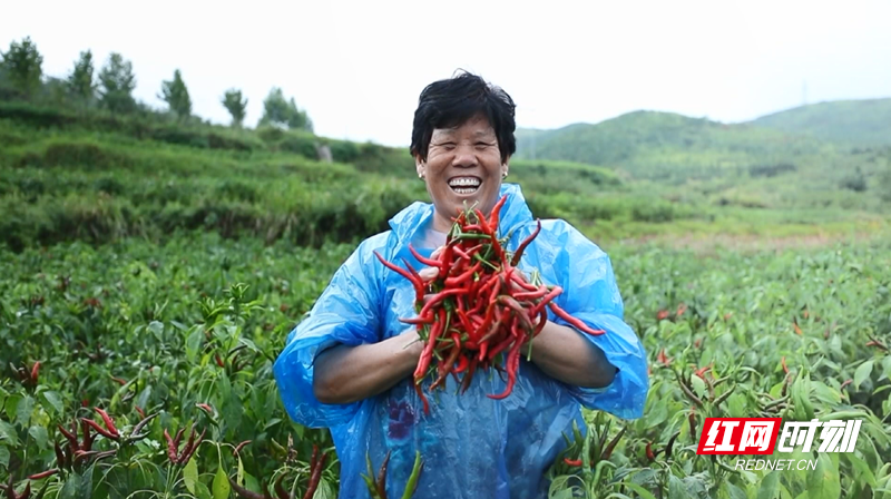 QQ截图20200921154412_副本.png
