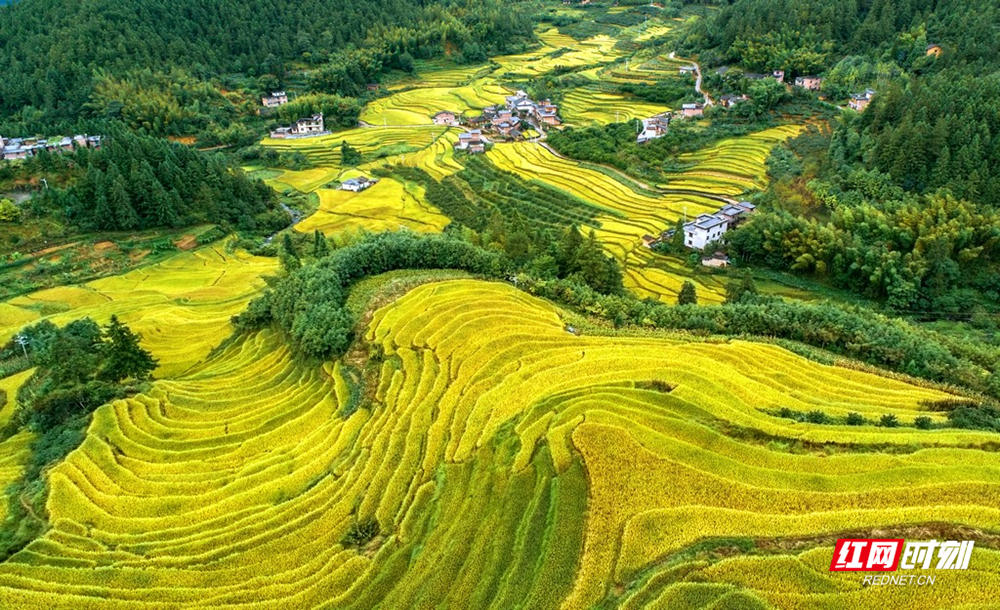 9.18图说（新）.jpg