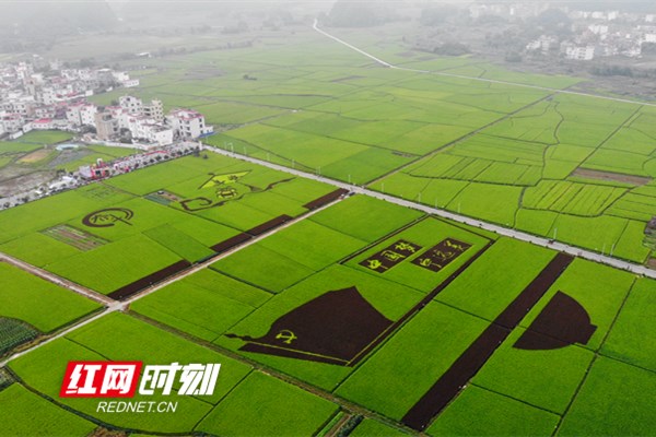 永州市庆祝2020年“中国农民丰收节”主题活动在宁远开幕