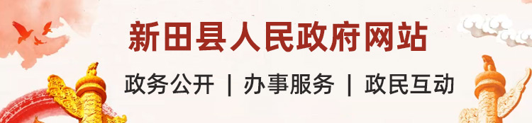 新田县人民政府网站