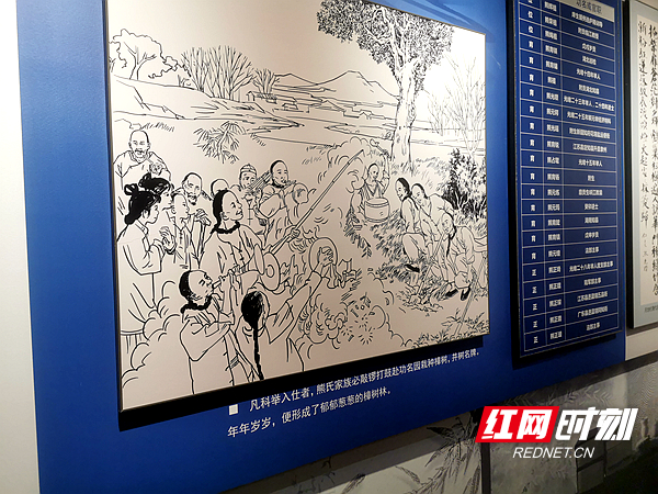 栽种樟树。.jpg