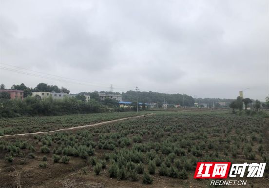 微信图片_20200923151706.png