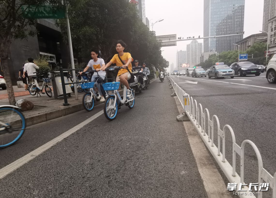 共享单车已融入长沙市民生活。长沙晚报全媒体记者 陈焕明 摄