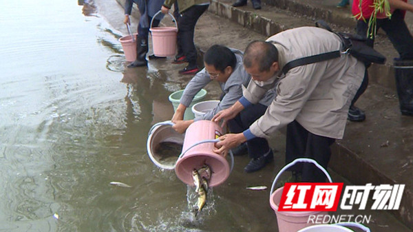 放流1_副本.jpg