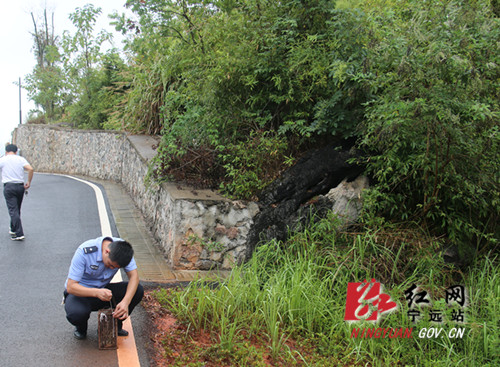 宁远成功救治一只野生斑林狸_副本500.jpg