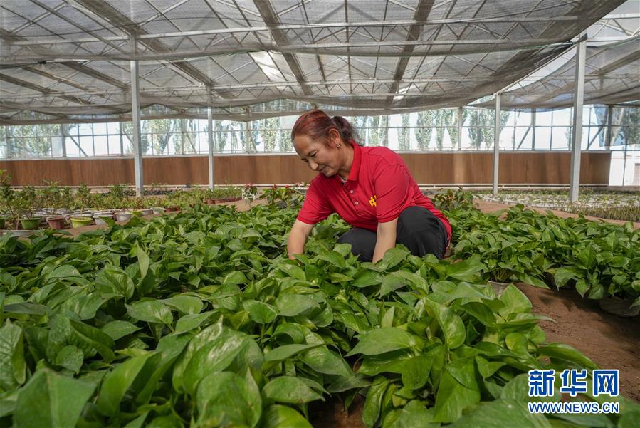 (新华全媒头条·图文互动)(11)旗引天山南北 谱写发展新篇——以习近平同志为核心的党中央关心新疆工作纪实