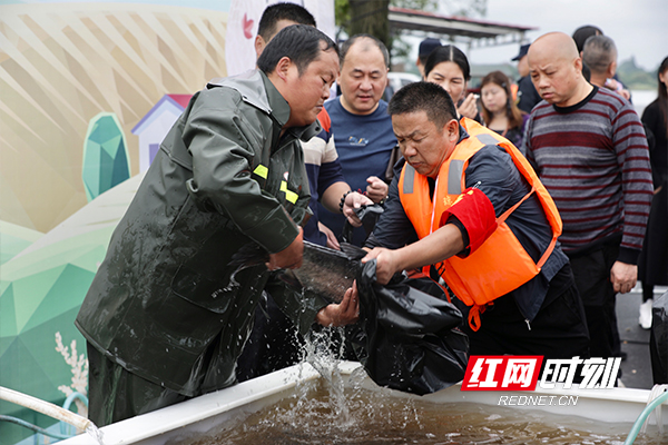 不少游客在活动现场挑选“大头鱼”。.jpg