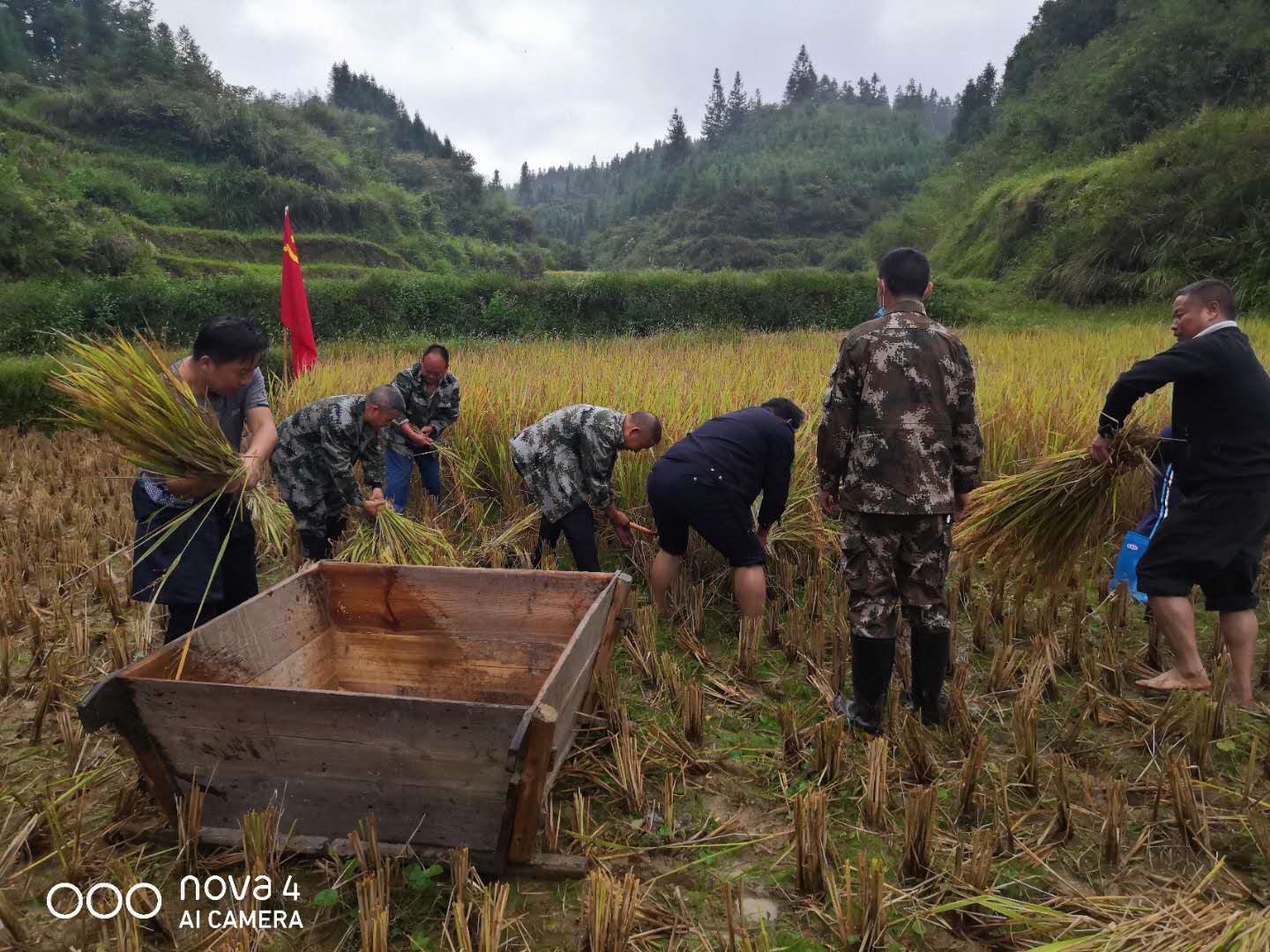 会同县地灵乡“四支队伍”冒雨抢收稻谷.jpg