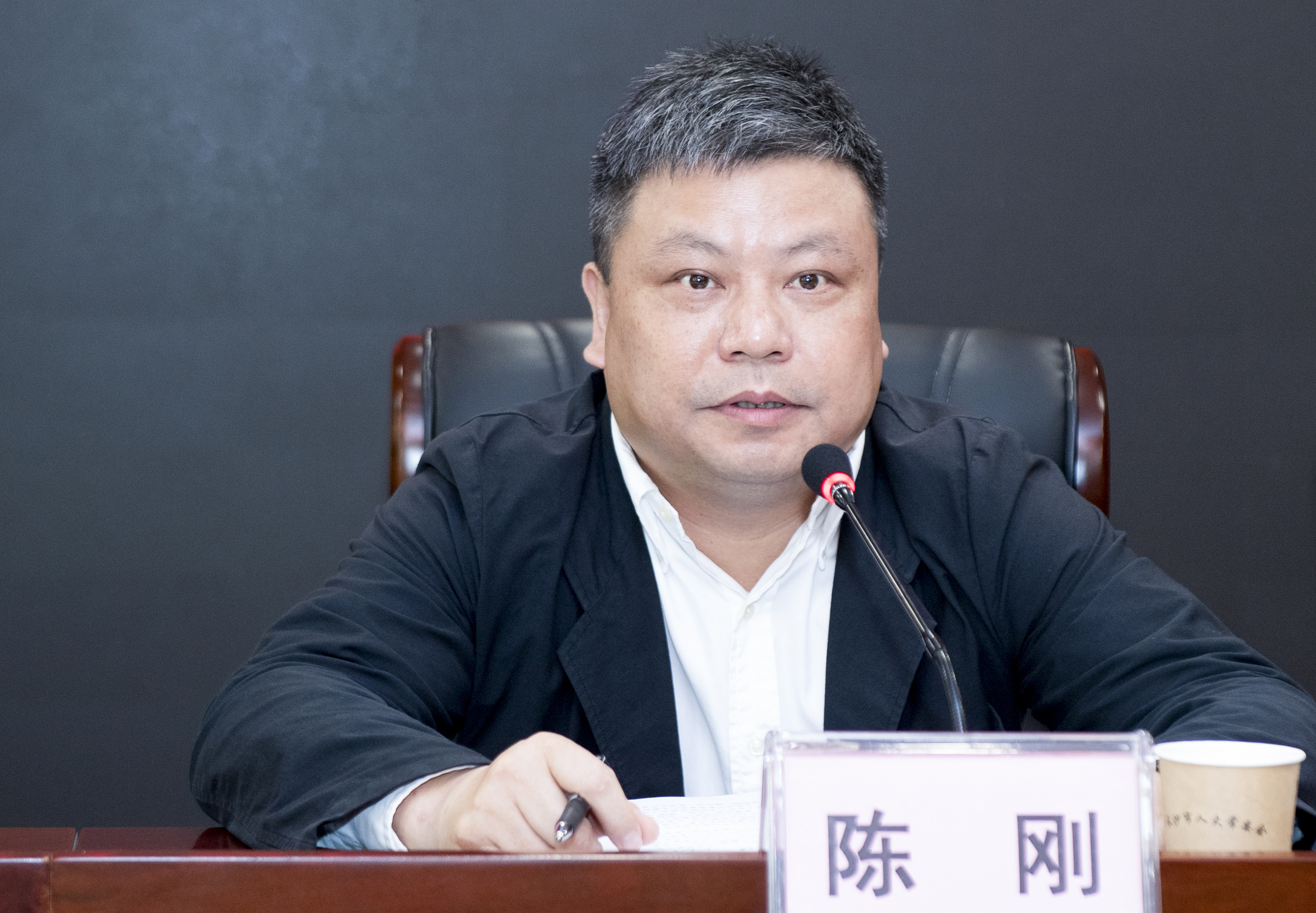 市委常委,市委宣传部部长陈刚出席会议.