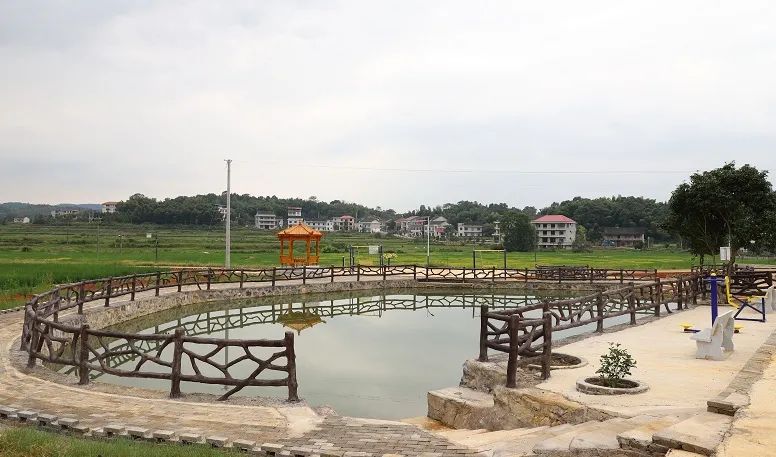 水洞底镇撑田村:"土地流转"转出千亩水稻种植基地_外媒看娄星_娄星