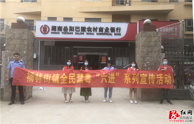 杨林1.png