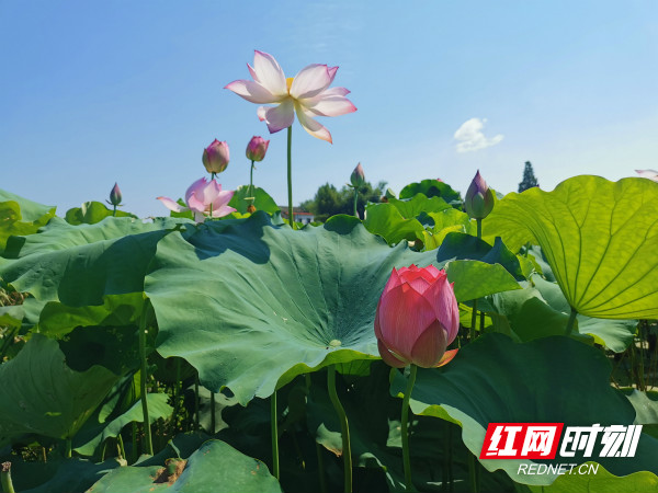 WechatIMG2424_meitu_2.jpg